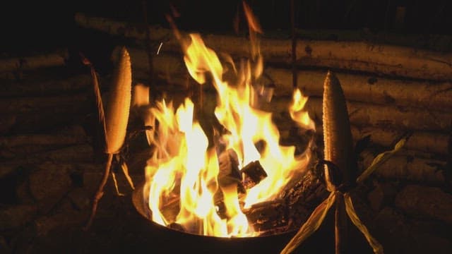 Corn roasting over an open fire
