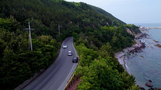 Coastal Road Winding Through a Forested Area