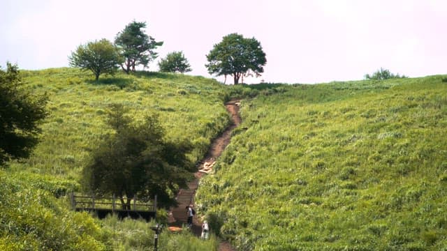 People climbing a path among green fields