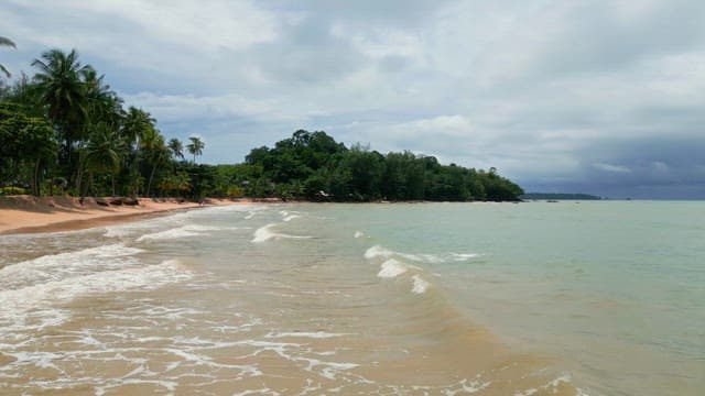 Tropical beach with palm trees and waves