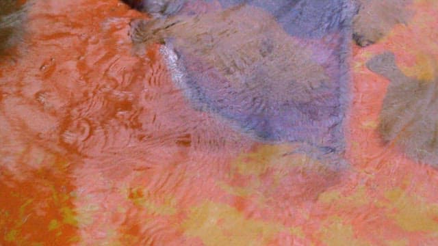 Flounder caught in a net in water