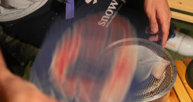 Preparing Squid on a Grill Outdoors