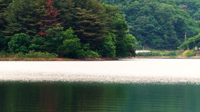 Tranquil lake sparkling in the sunlight, surrounded by lush green forests