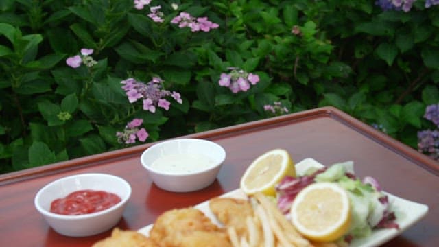Plate of fried eel, french fries and salad
