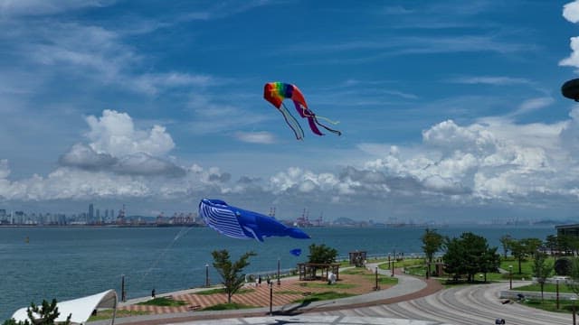 Kites flying over seaside park with city skyline