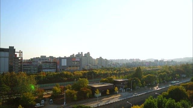 Bustling Cityscape with Traffic and Greenery