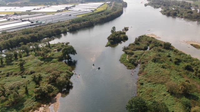 Clear river flowing through lush greenery on a sunny day