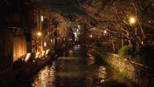 Buildings and streetlights lit up at night, canals running through the trees
