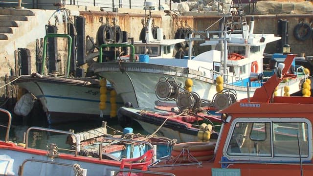 Docked fishing boats at a coastal harbor