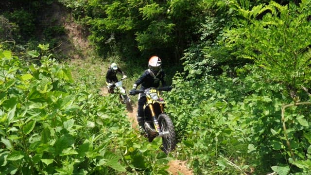 Motorcyclists Riding on a Forest Trail
