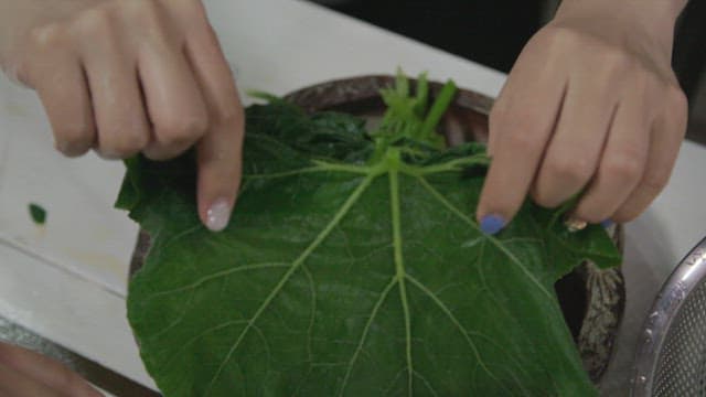 Preparing Fresh Pumpkin Leaves in the Kitchen