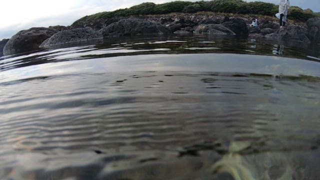 Diver catching squid with a hook underwater