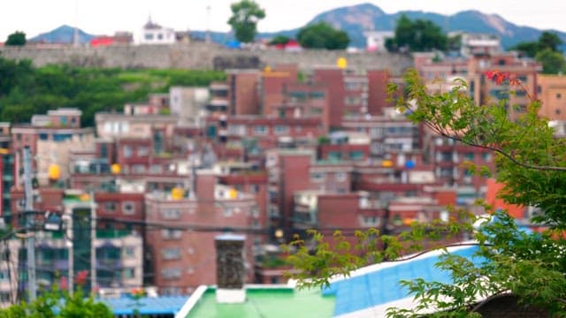Dense housing complexes along the castle walls