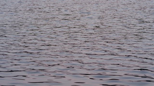 Gentle Ripples on a Tranquil Lake