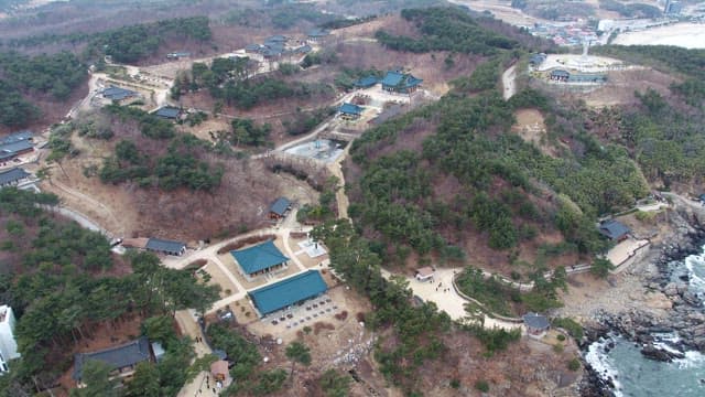 Coastal Temples and Buddha Statue in Serene Mountains