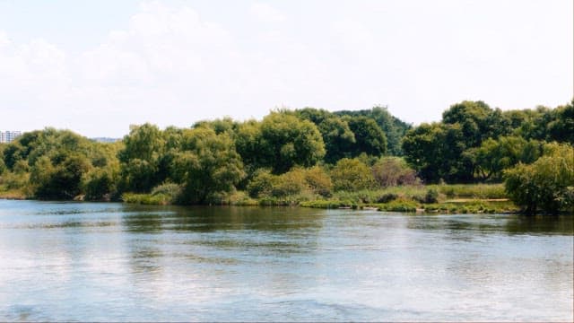 Serene River Landscape On Sunny Day