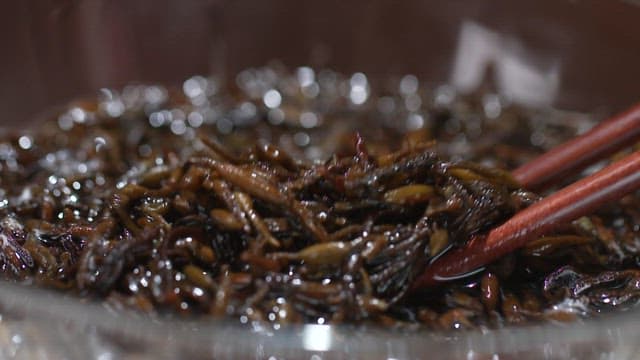 Spoonful of soaked hijiki in a glass bowl