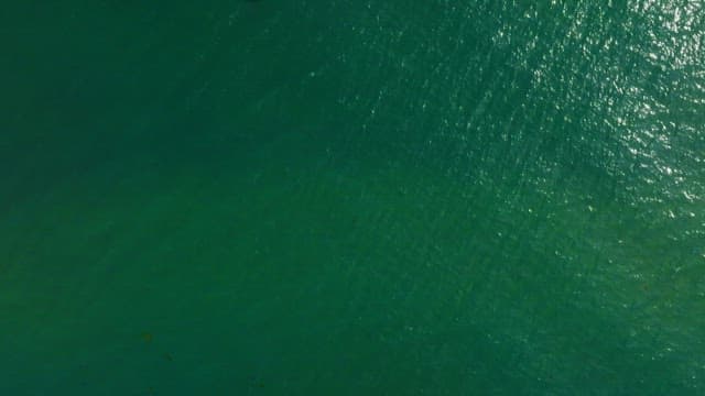 Aerial view of a beach with green water