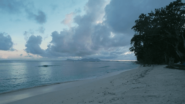 Serene beach with waves at dawn