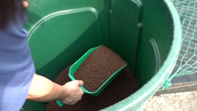 Person feeding fish farm