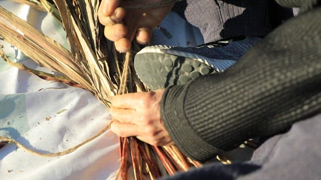 Close-up of hands weaving straw outdoors