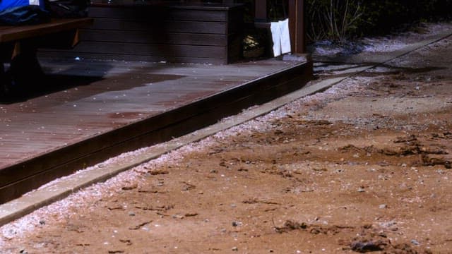 Dirt road with fallen flower petals and people passing by