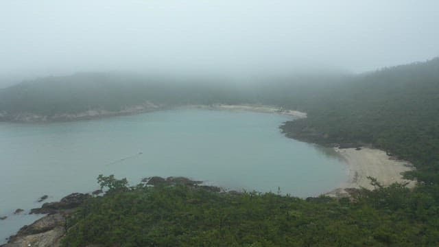 Misty Coastal Landscape from Above