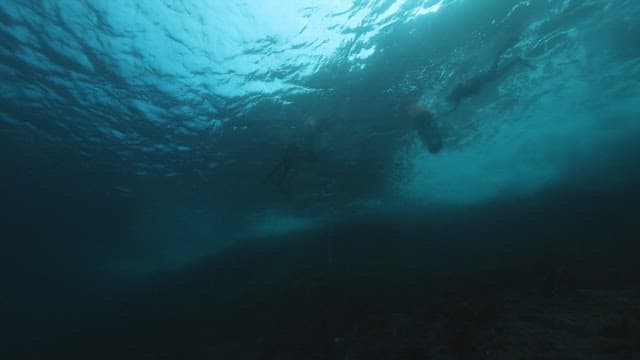 Female diver who comes down to the sea to harvest seafood