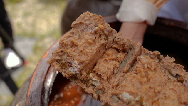 Detailed Texture of Fermented Soybean Lump