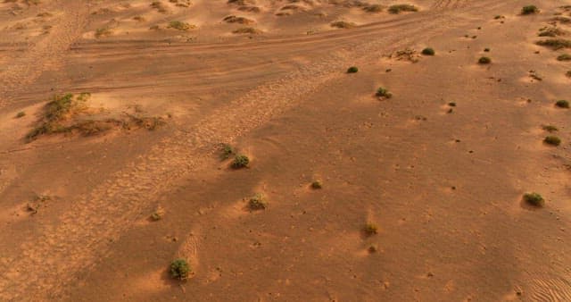 Vast desert landscape with sparse vegetation