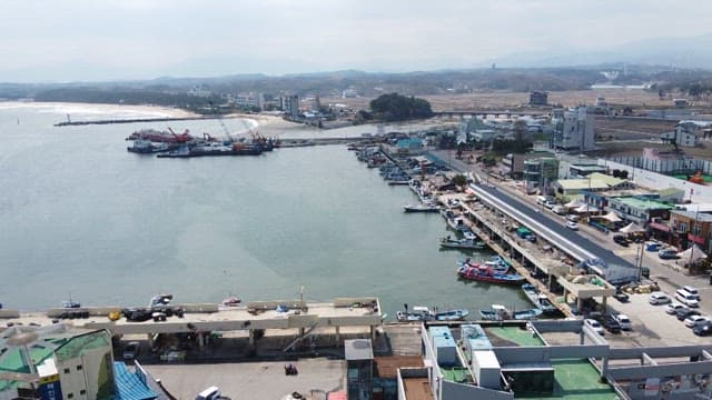 Coastal Fishing Village with Boats and Docks