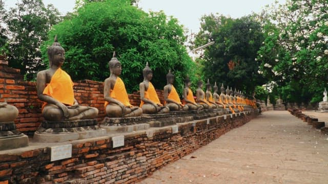 Statues of Buddha in a row at a peaceful temple