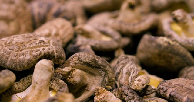 Detailed Texture of Piled Dried Shiitake Mushrooms