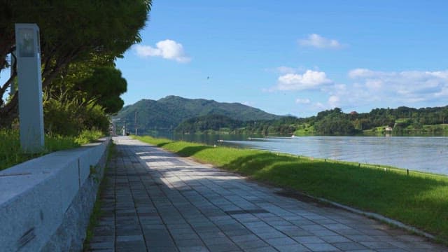 Peaceful Riverside Pathway with Lush Greenery