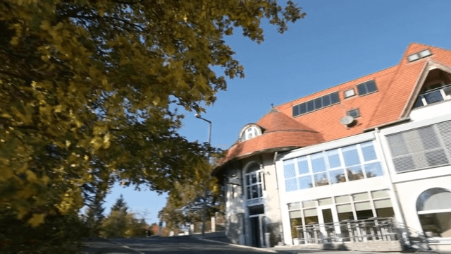 Autumn leaves and building with orange roofs on a sunny fall day