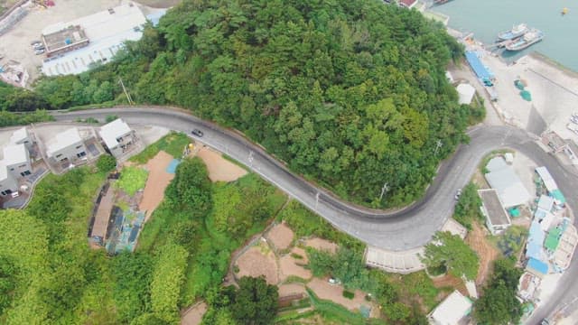 Winding coastal road through a lush green forest