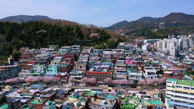 Dense Cityscape on a Sunny Spring Day