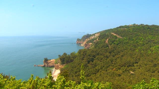 Coastal Cliffs with Lush Forest Overlooking Serene Ocean