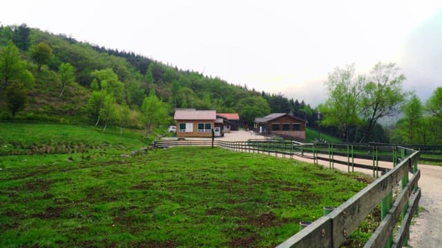 Countryside farm with green fields in spring