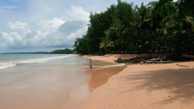 Person walking along a tropical beach