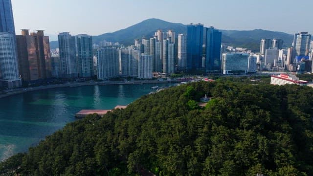 Peaceful coastal cityscape with towering buildings and greenery