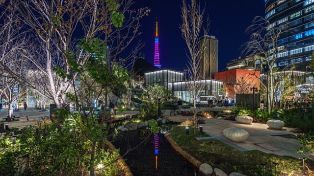 Night view of a city park with a tower