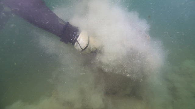Diver lifting a fishing net from the sea