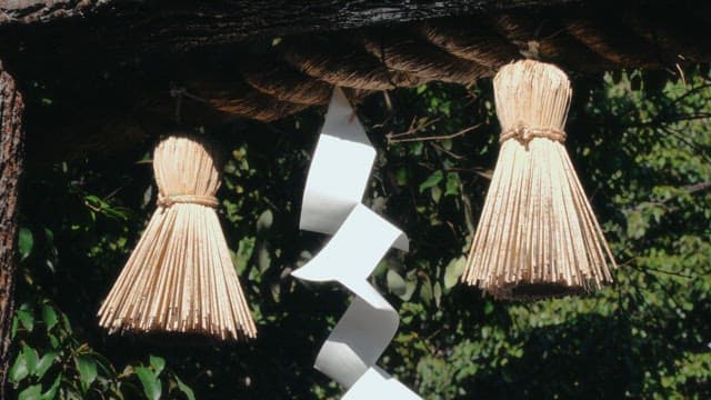 Traditional sacred ropes and paper hanging at the shrine