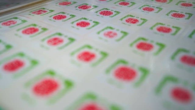 Sample Stamp Patterns on Paper