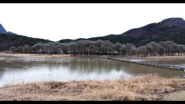 Peaceful river landscape surrounded by mountains and trees