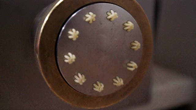 Pasta being extruded from a machine