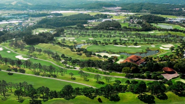Lush Green Golf Course
