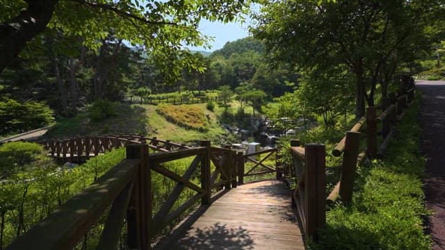 Serene Nature Park with Wooden Bridge