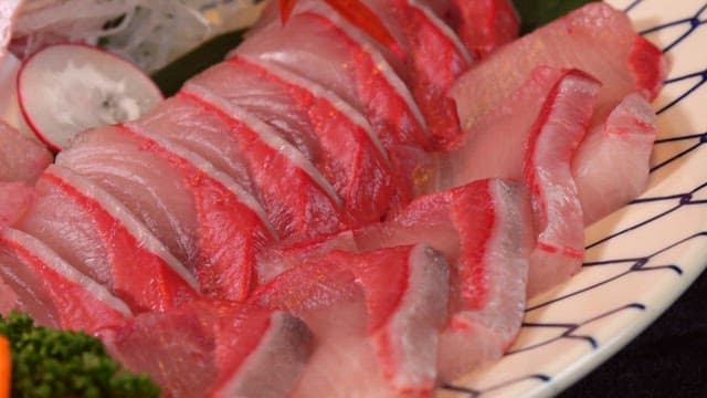 Freshly sliced yellow tail sashimi on a plate